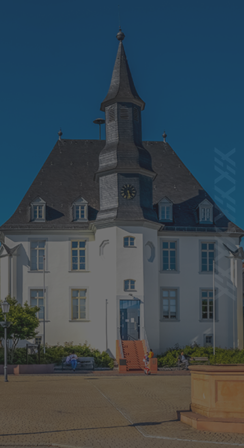 vip shuttle frankfurt flughafen
